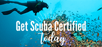 Learn to Scuba Dive - Get Certified Today!